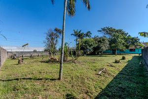 Image 11 - 925556