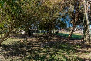 Image 13 - 925556