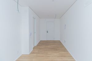 Image 23 - 925558