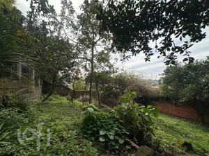 Image 21 - 925718