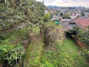 Image 19 - 925718