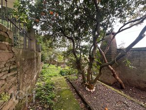 Image 20 - 925718
