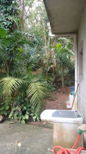 Image 3 - 925737