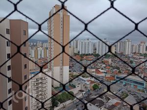 Image 10 - 925803