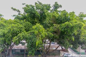 Image 4 - 925961