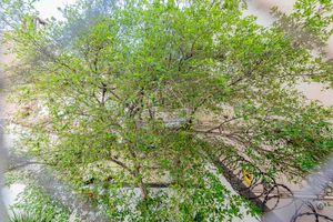 Image 10 - 926019