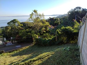 Image 19 - 926297
