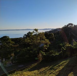 Image 3 - 926297