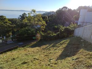 Image 5 - 926297