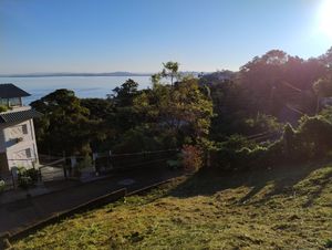 Image 7 - 926297