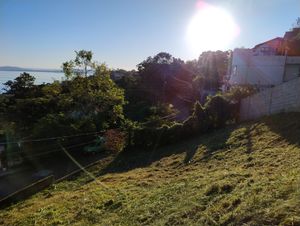 Image 11 - 926297