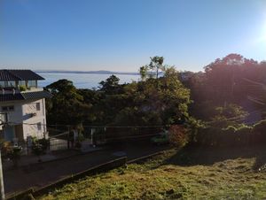 Image 8 - 926297