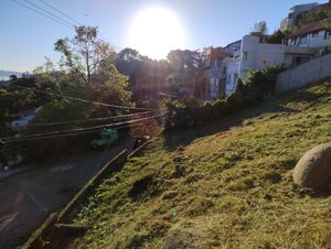 Image 26 - 926297