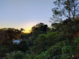 Image 23 - 926297