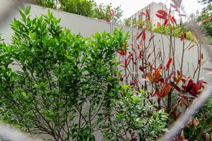 Image 12 - 926349
