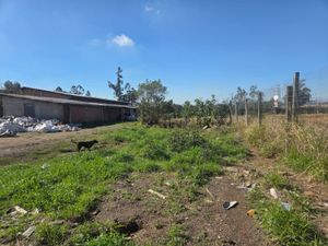 Image 2 - 926451