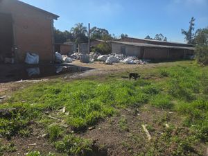 Image 3 - 926451