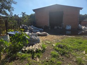 Image 8 - 926451
