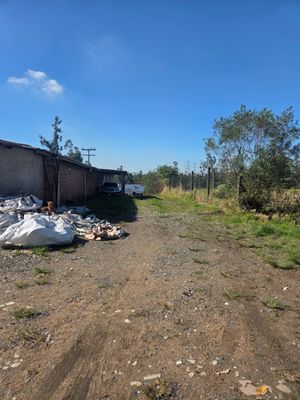 Image 4 - 926451