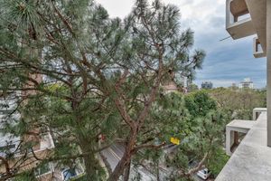 Image 3 - 926497