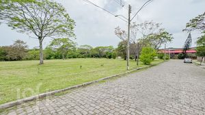 Image 19 - 927009