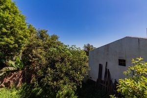 Image 11 - 927113