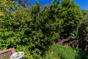 Image 9 - 927113