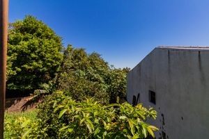 Image 16 - 927113