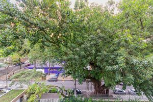 Image 8 - 927146