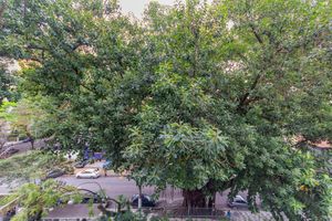 Image 12 - 927146