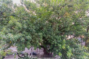 Image 17 - 927146