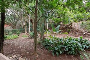 Image 38 - 927367
