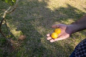 Image 12 - 927373