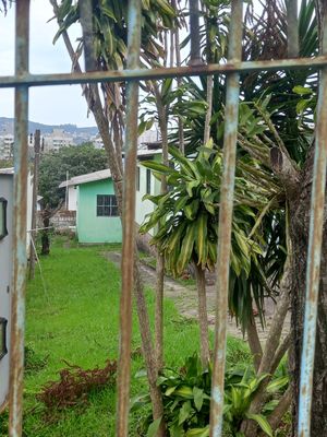 Image 3 - 927388