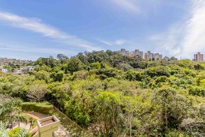 Image 17 - 927476