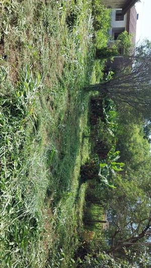Image 9 - 927520
