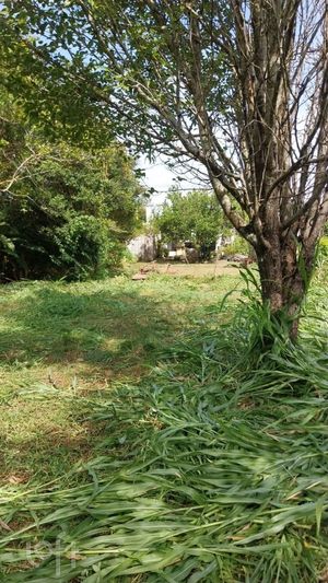 Image 2 - 927520