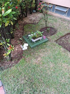 Image 14 - 927646