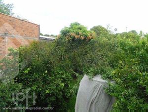 Image 34 - 927765