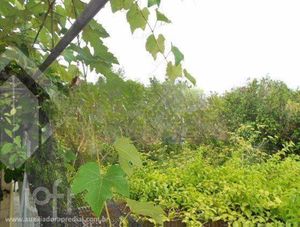 Image 6 - 927765