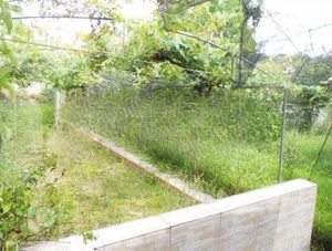 Image 39 - 927765