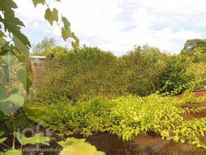 Image 44 - 927765