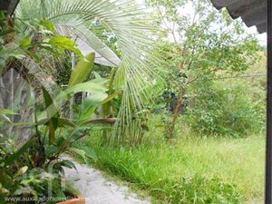 Image 41 - 927765