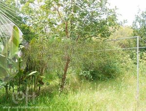 Image 43 - 927765