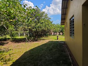 Image 13 - 927804