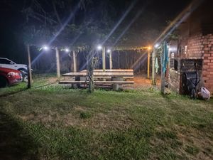 Image 31 - 927804