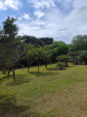 Image 32 - 927804
