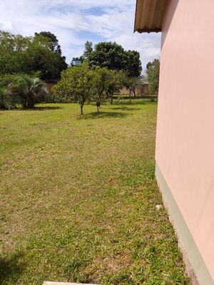 Image 20 - 927804