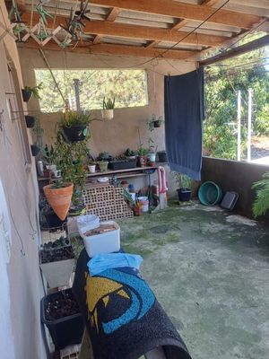 Image 2 - 927818