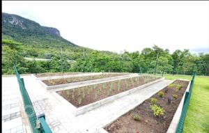 Image 31 - 927822